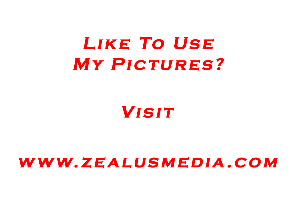 Wet makeup look - photo by ZealusMedia.com